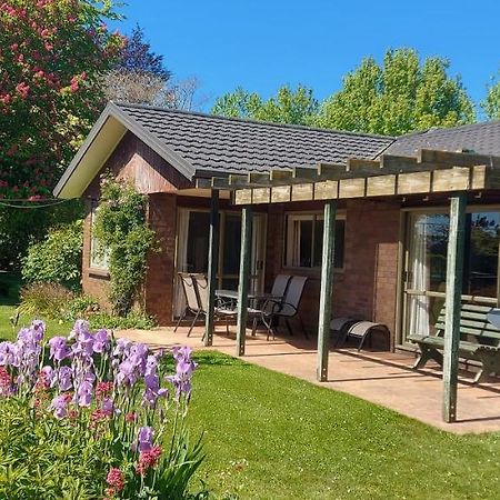 Dewdrop Cottage Hastings Esterno foto