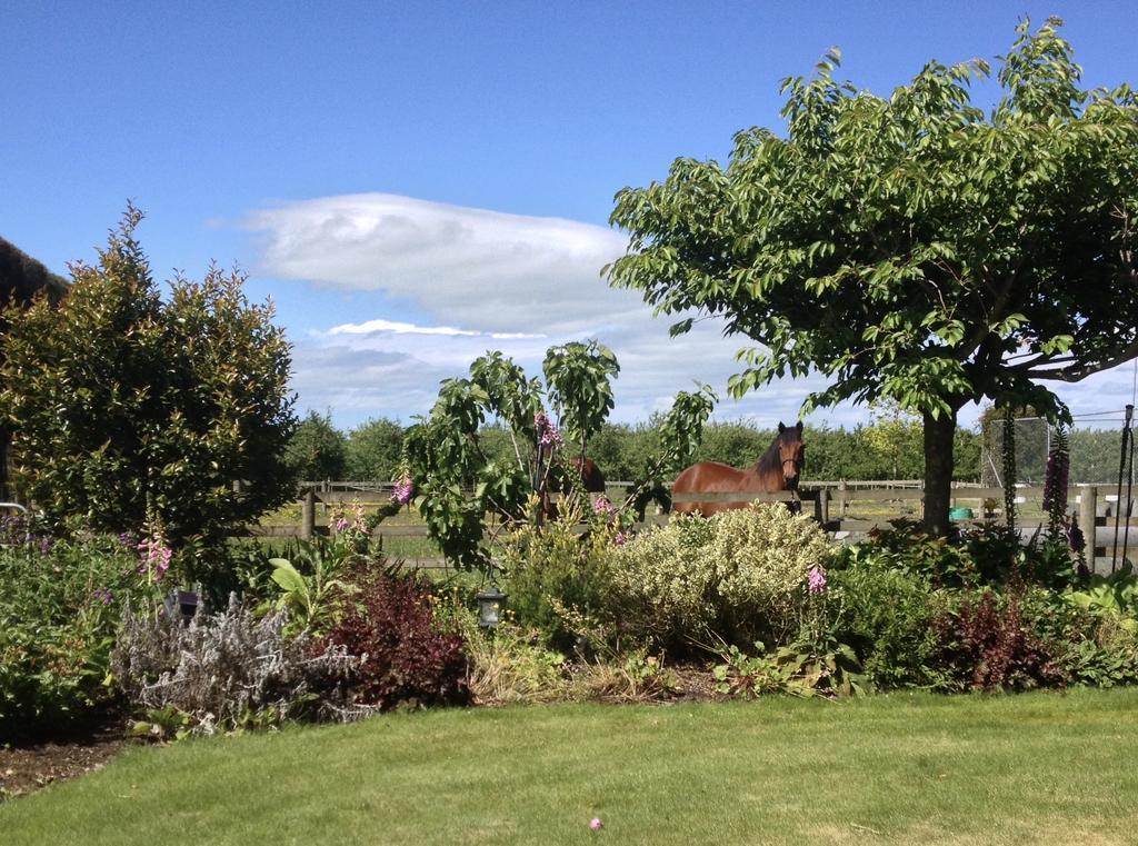 Dewdrop Cottage Hastings Esterno foto